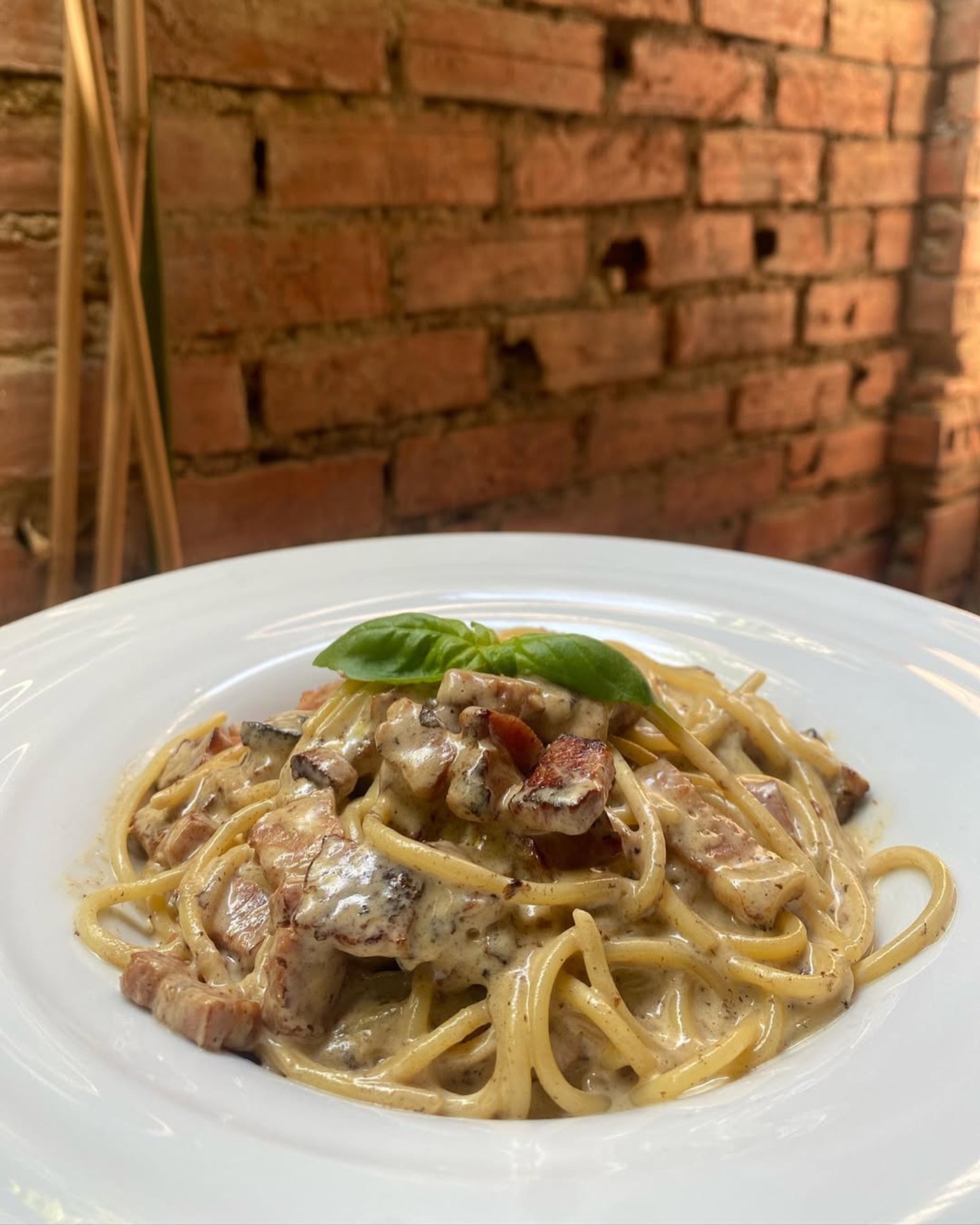 Carbonara da casa